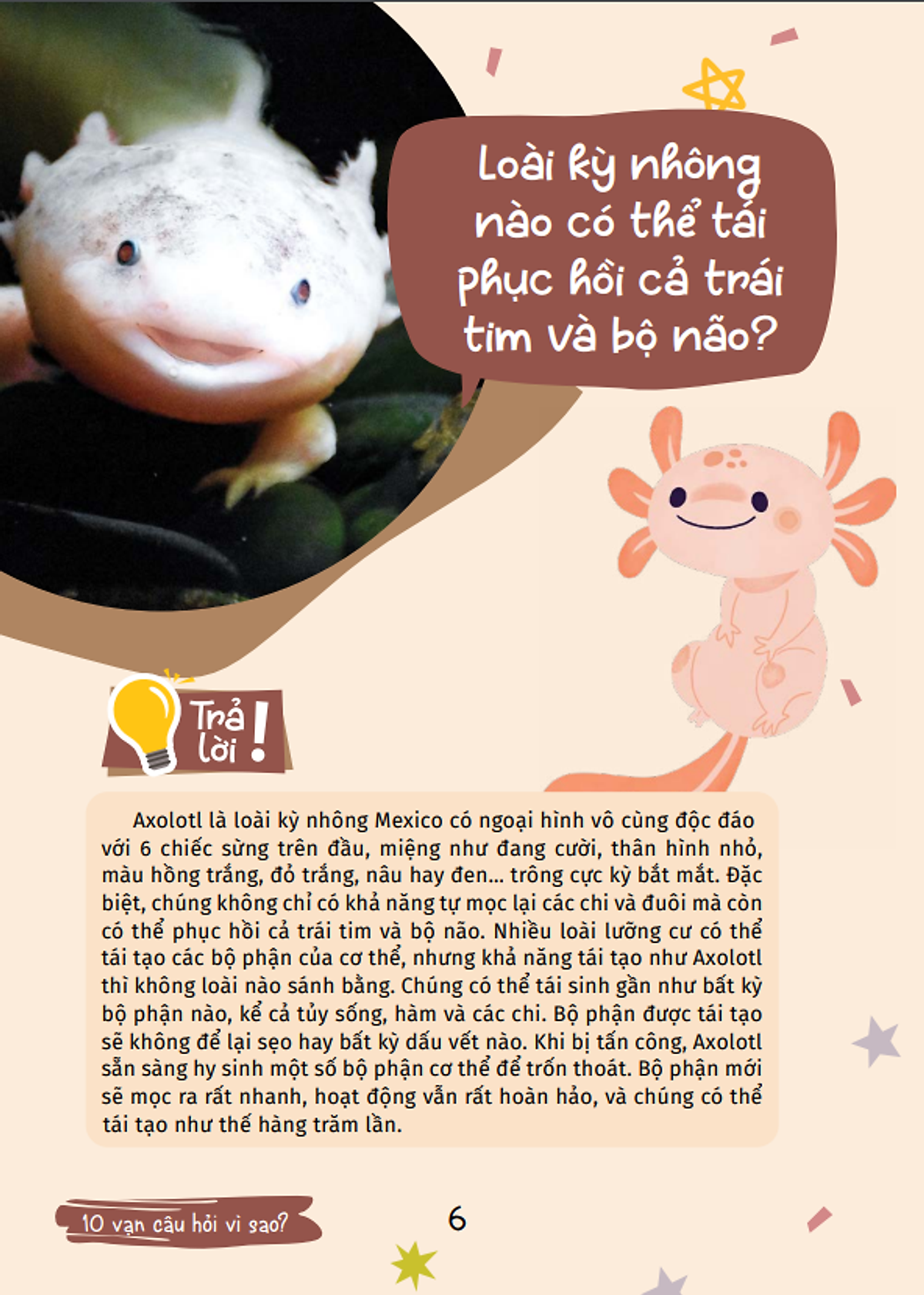 10 vạn câu hỏi vì sao - cùng bé khám phá kiến thức bách khoa - động vật kì lạ - Ảnh 8