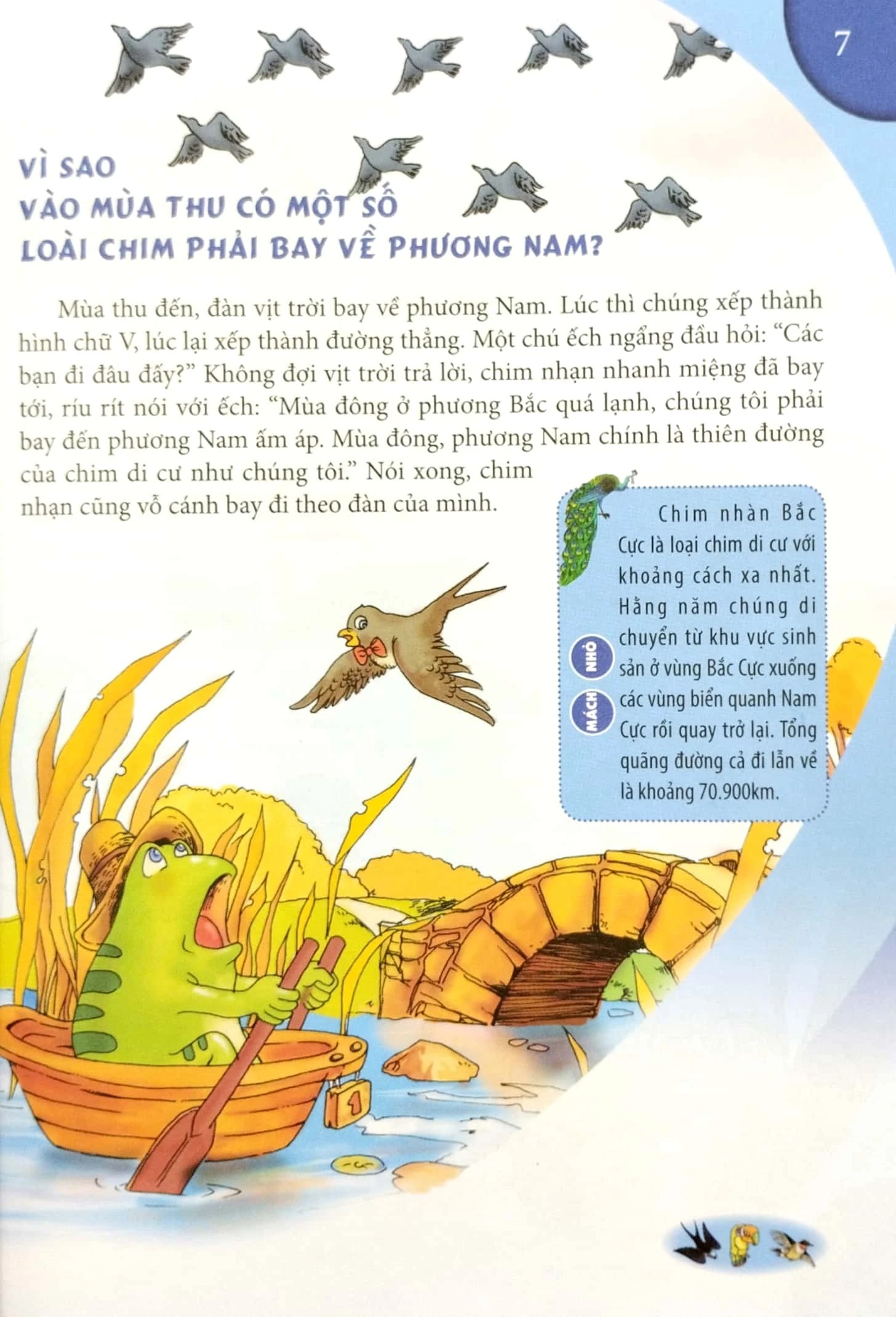 10 Vạn Câu Hỏi Vì Sao - Động Vật Biết Bay Và Thực Vật (Tái Bản 2026) - Ảnh 5