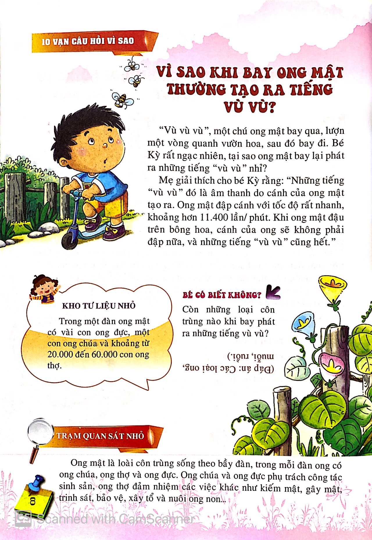 10 vạn câu hỏi vì sao - những loài và vật biết bay - Ảnh 10