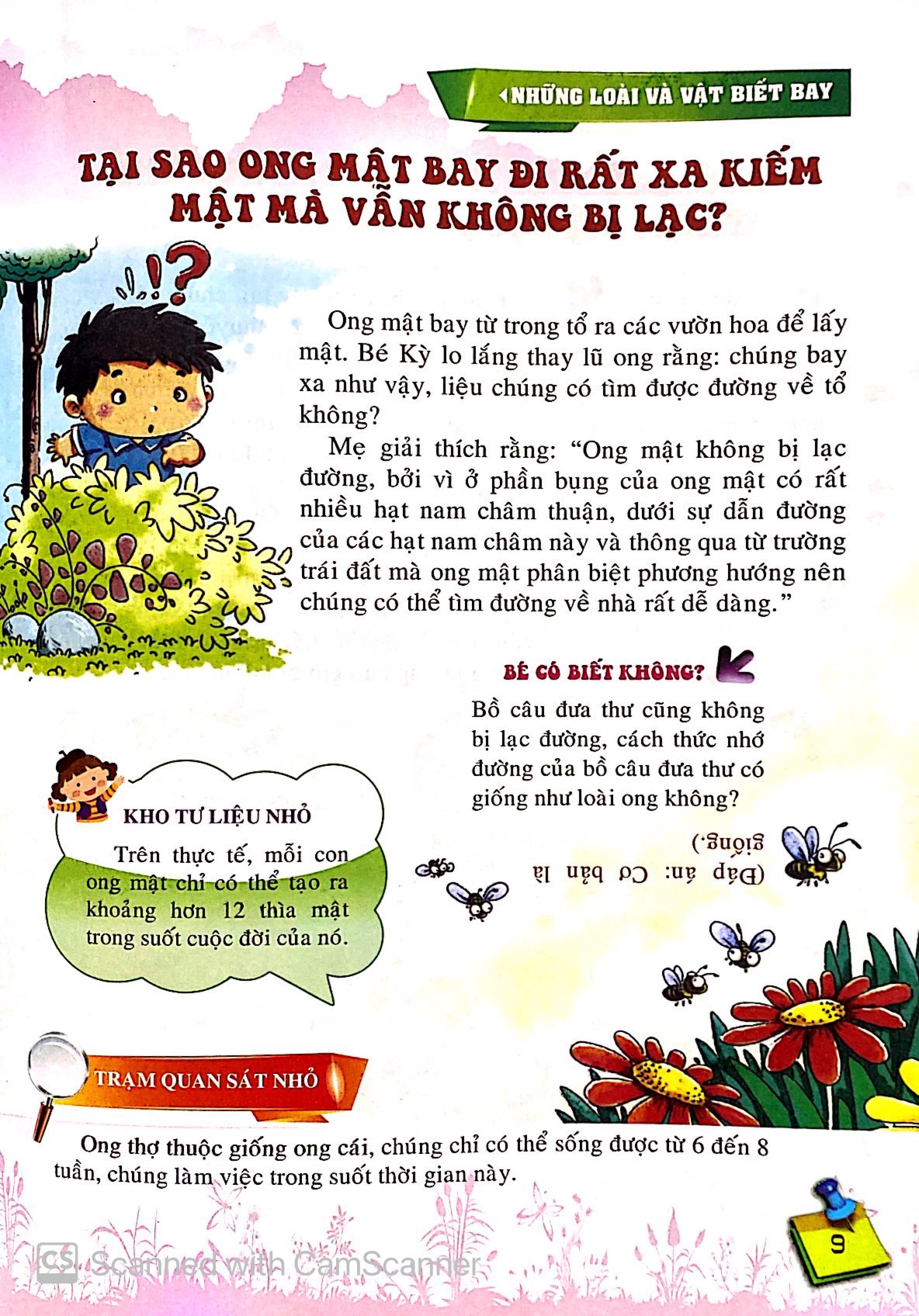 10 vạn câu hỏi vì sao - những loài và vật biết bay - Ảnh 11