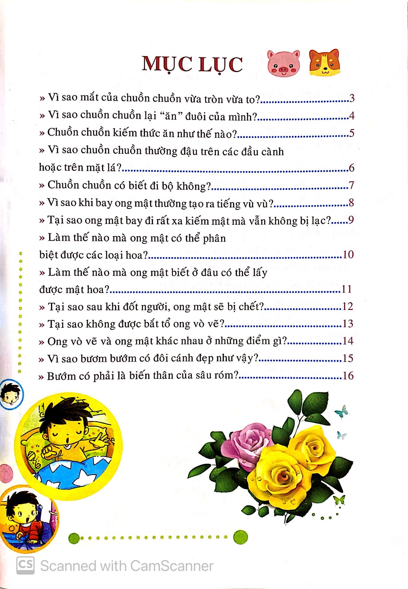 10 vạn câu hỏi vì sao - những loài và vật biết bay - Ảnh 3