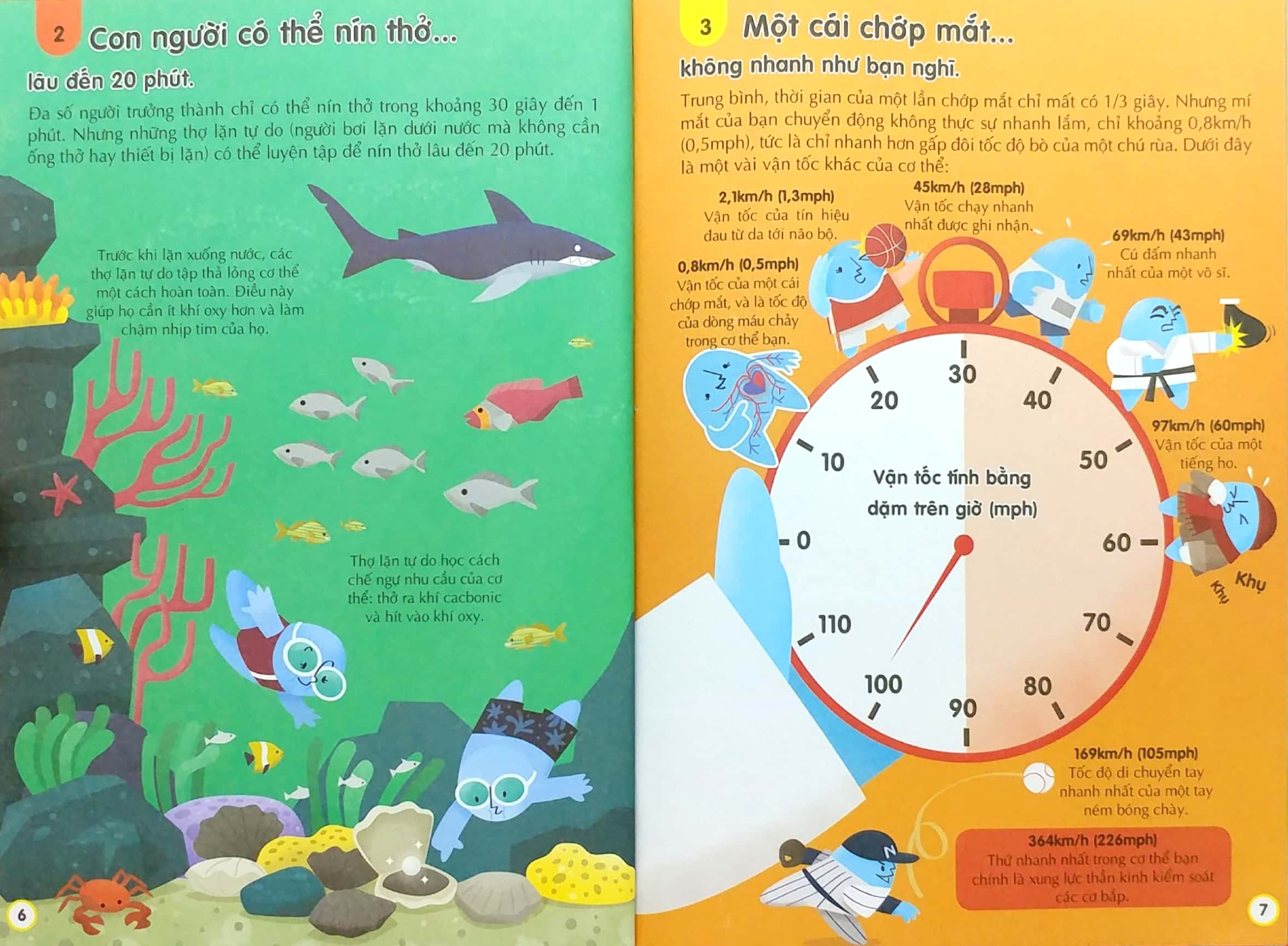 100 bí ẩn đáng kinh ngạc về cơ thể người (usborne - 100 things to know about the human body) - Ảnh 5