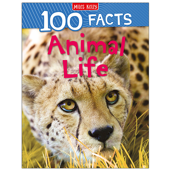 100 facts: animal life