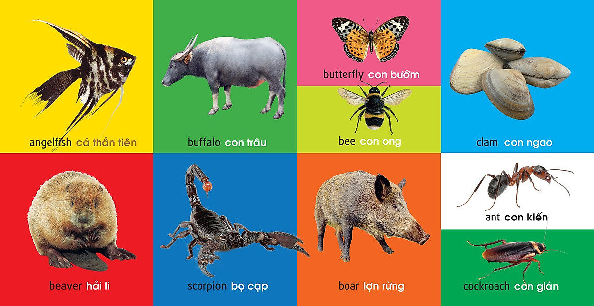 101 từ đầu tiên: động vật (tái bản 2021) - Ảnh 2