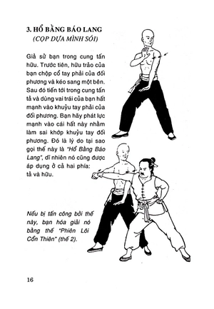 108 thế chiến đấu thiếu lâm chân truyền - tập 1 (tái bản) - Ảnh 10