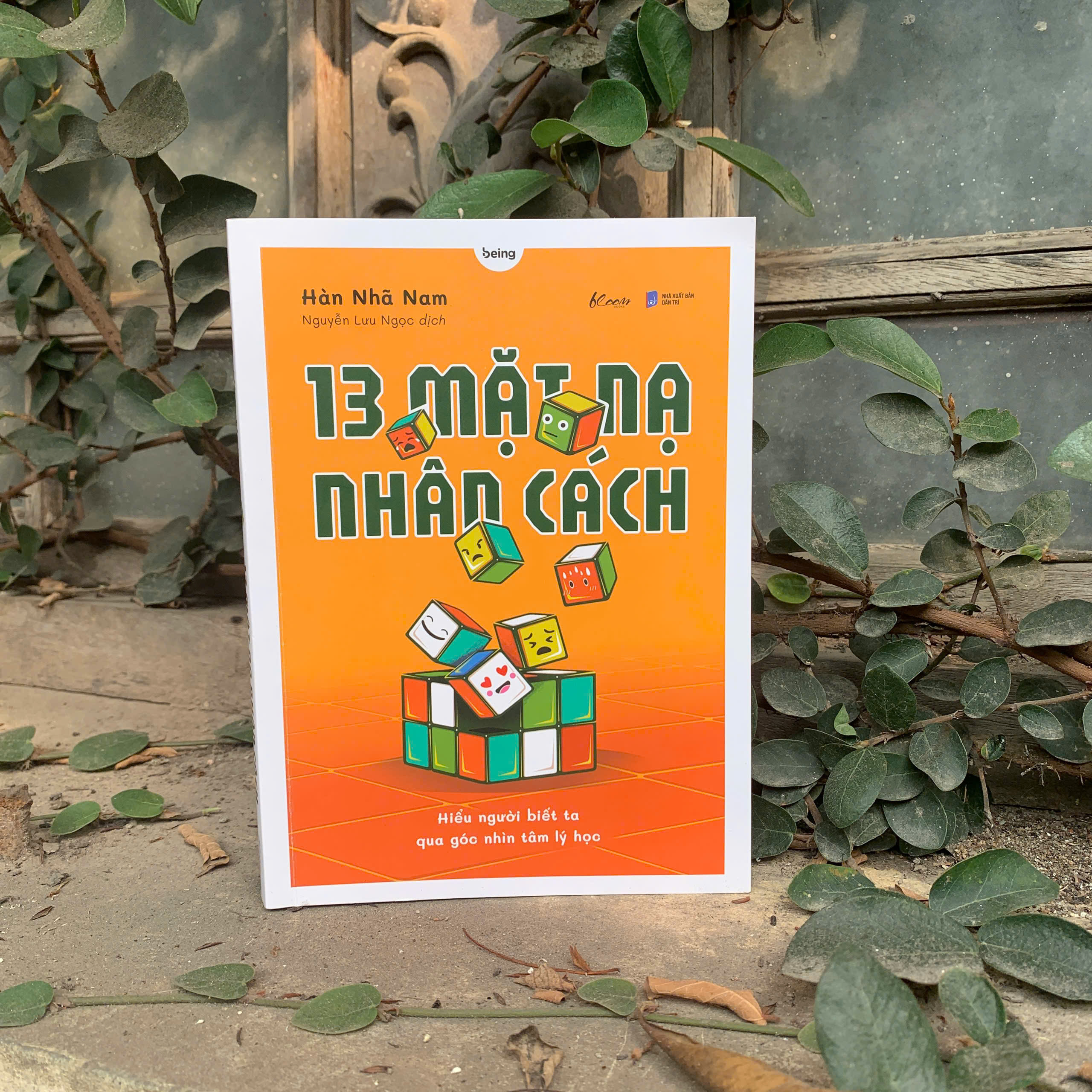 13 Mặt Nạ Nhân Cách - Ảnh 3
