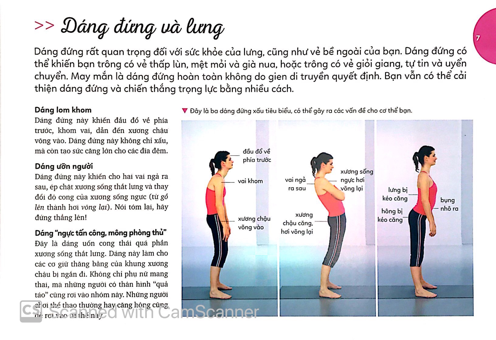 15 phút tập lưng - 15 minute better back workout (kèm dvd) - Ảnh 6