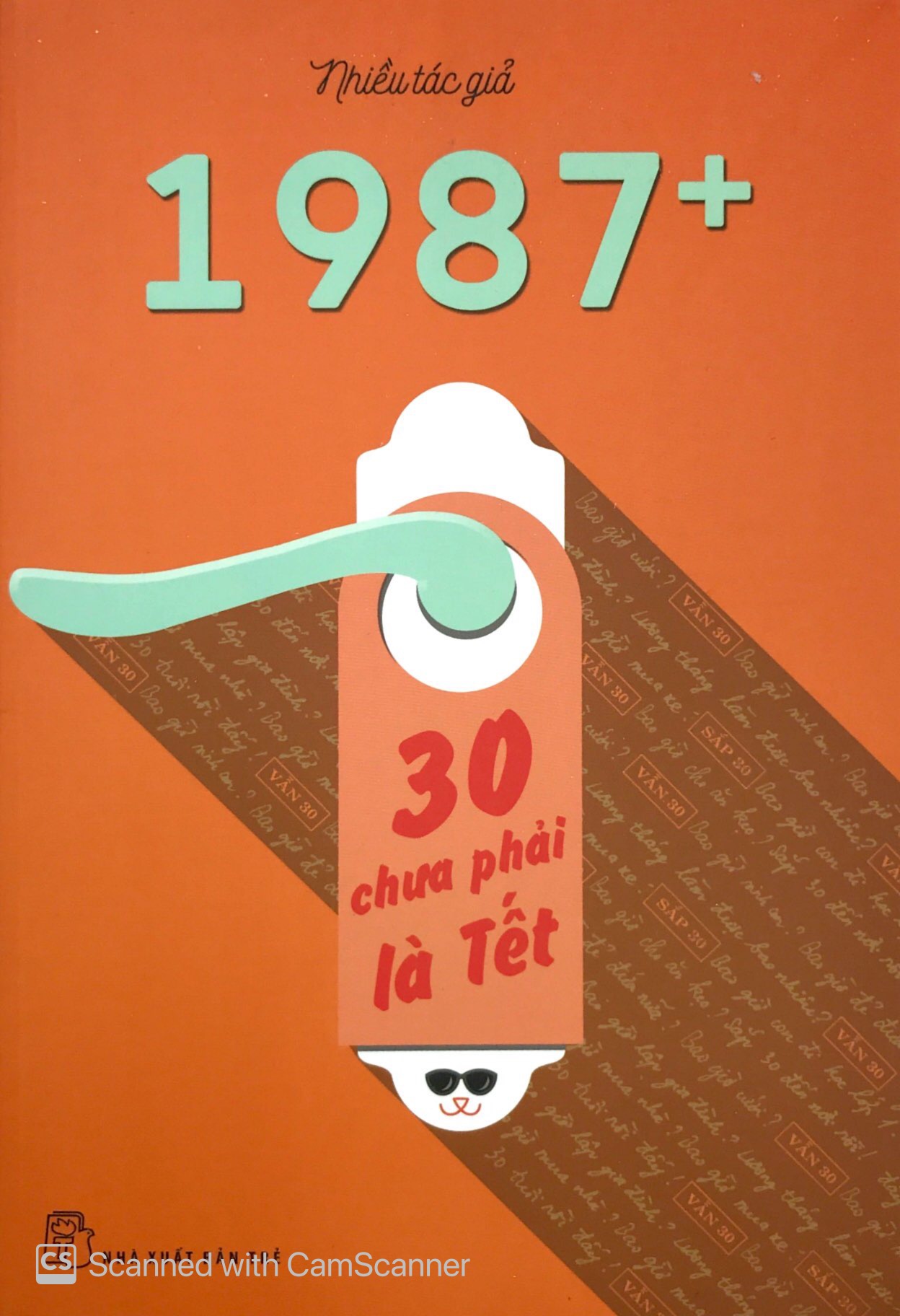 1987+: 30 Chưa Phải Là Tết - Ảnh 2