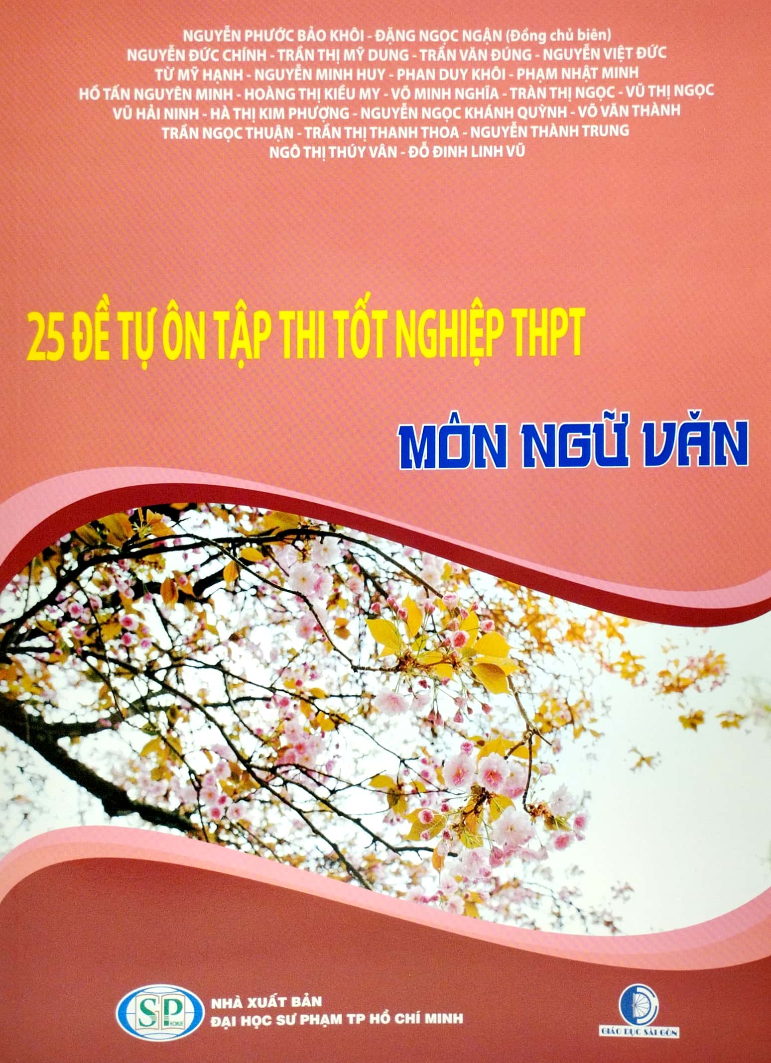 25 đề tự ôn tập thi tốt nghiệp thpt - môn ngữ văn - Ảnh 2
