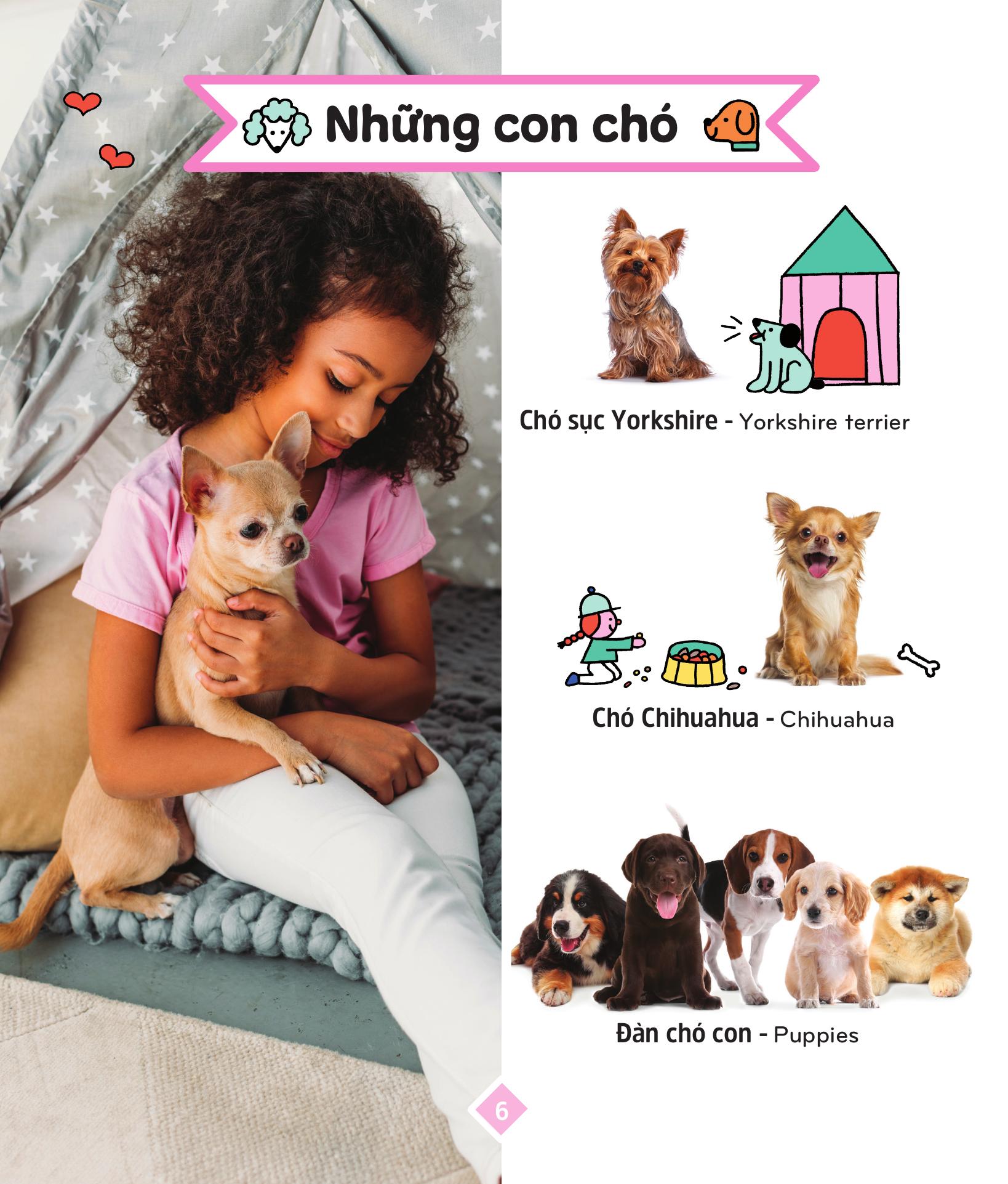 400++ Từ Vựng Mẹ Cùng Con Học Nói - Các Loài Động Vật - Ảnh 8