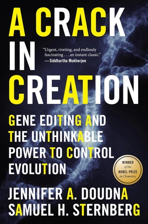 a crack in creation - Ảnh 2