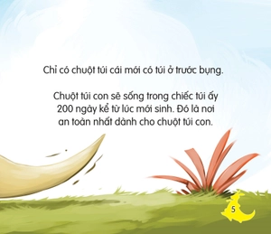 amazing animals - những loài vật đáng kinh ngạc! - chuột túi - biểu tượng của nước úc (tái bản) - Ảnh 6