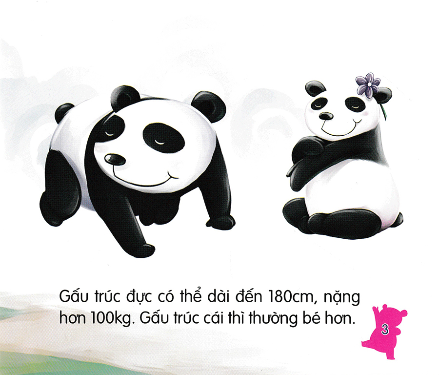 amazing animals - những loài vật đáng kinh ngạc! - gấu trúc - núc na núc ních (tái bản) - Ảnh 5