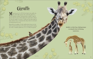 an anthology of intriguing animals - Ảnh 3