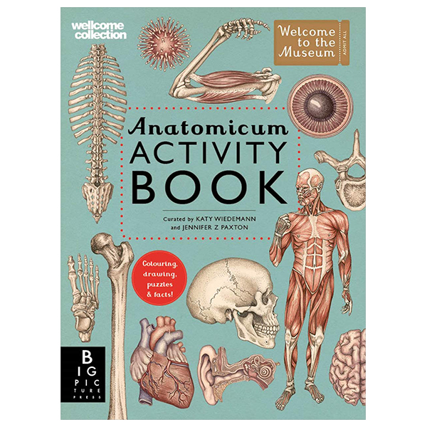 anatomicum activity book