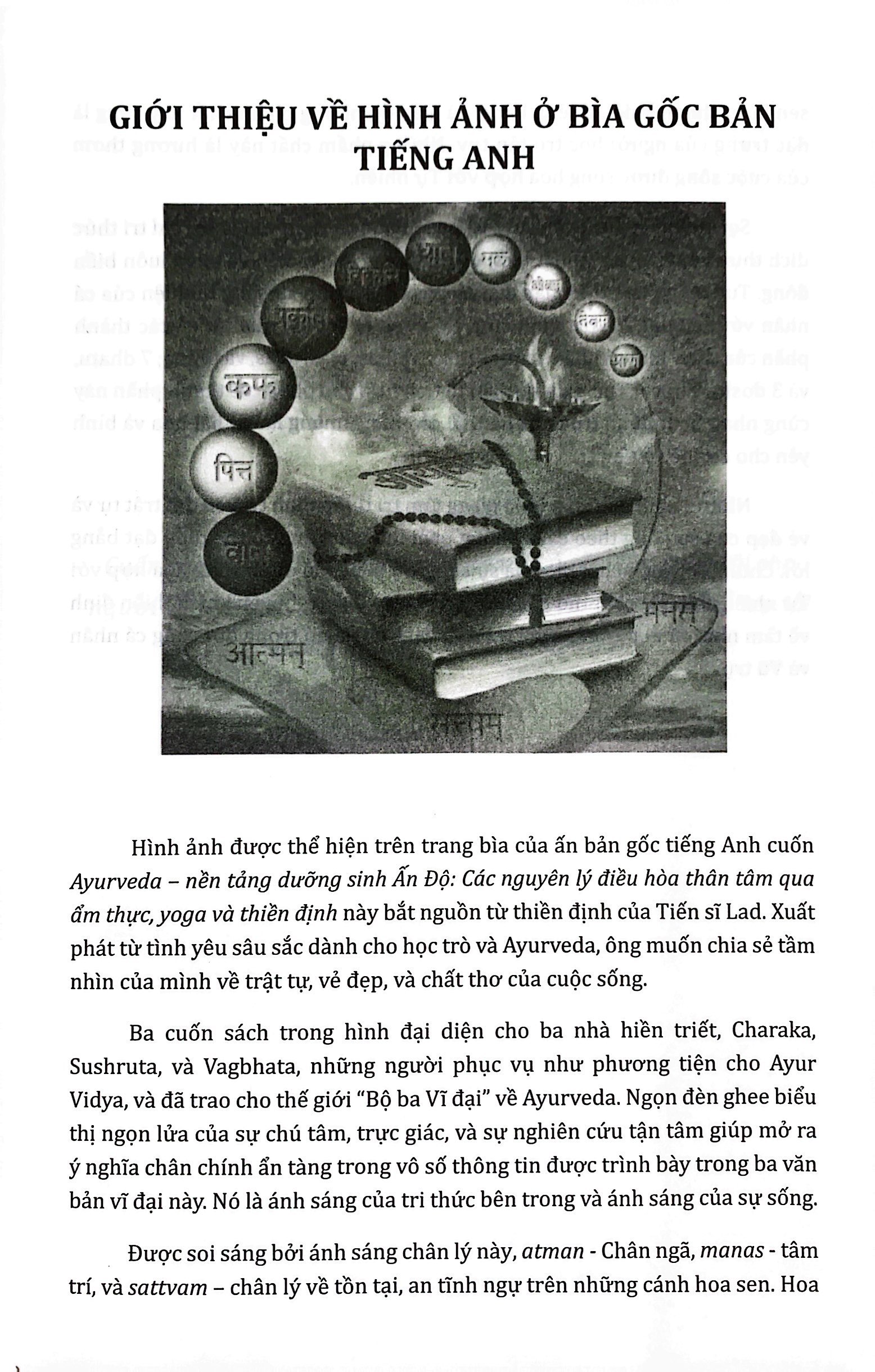 ayurveda - nền tảng dưỡng sinh ấn độ - Ảnh 4