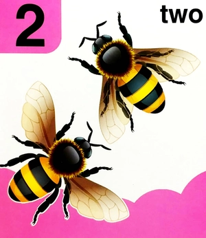 babyℹs mini books: 123 - Ảnh 6