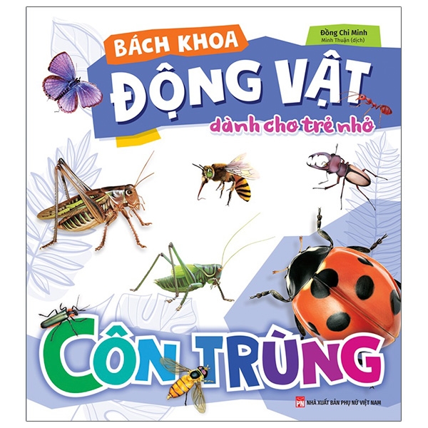 Bách Khoa Động Vật Dành Cho Trẻ Nhỏ - Khủng Long (Tái Bản 2025) - Ảnh 13