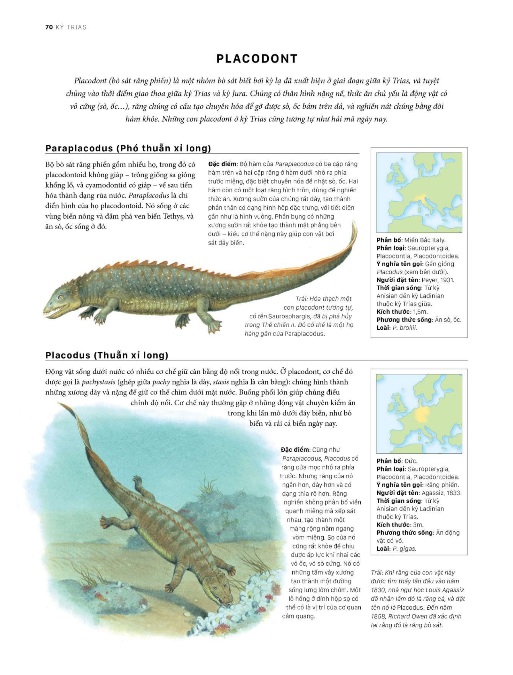 bách khoa khủng long toàn tập - bìa cứng - Ảnh 10