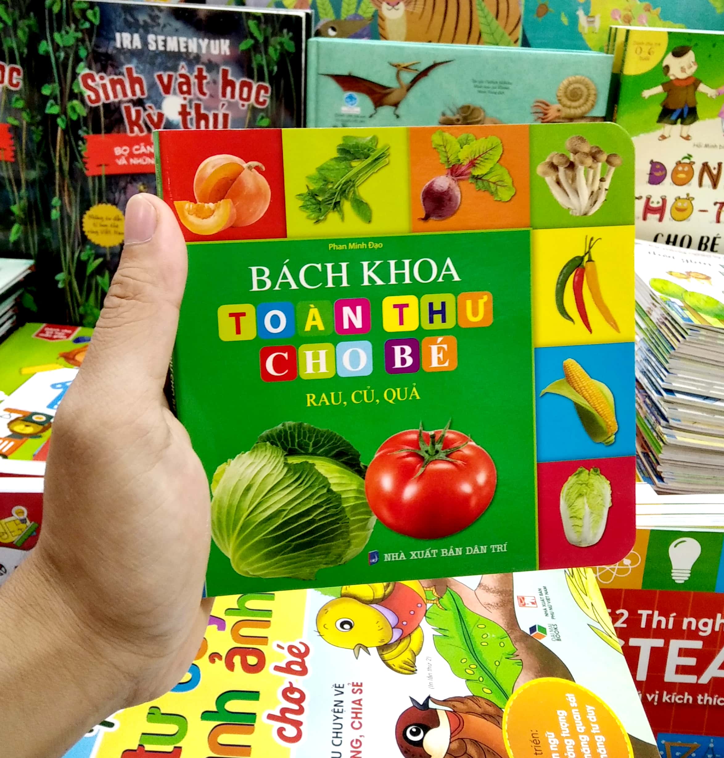 bách khoa toàn thư cho bé - rau, củ, quả - Ảnh 7