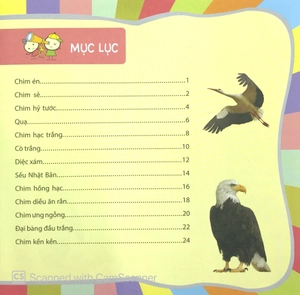 bách khoa toàn thư nhỏ - các loài chim - Ảnh 2