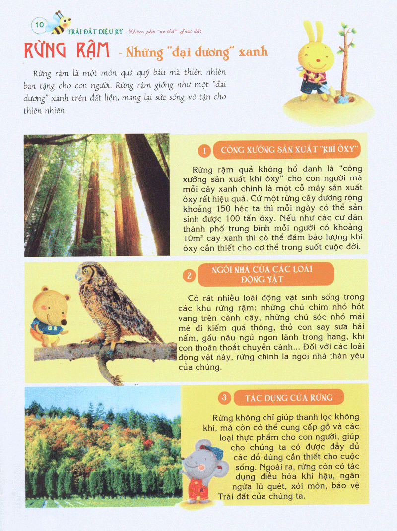 bách khoa tri thức đầu đời cho trẻ em -trái đất diệu kỳ - khám phá “cơ thể” trái đất - Ảnh 10
