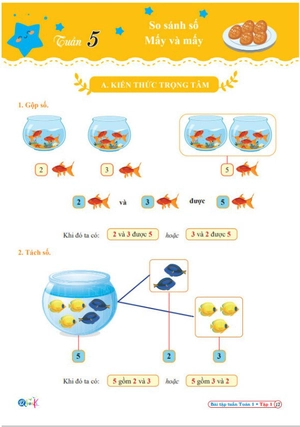 bài tập tuần toán 1 tập 1 (kết nối tri thức với cuộc sống) - Ảnh 3