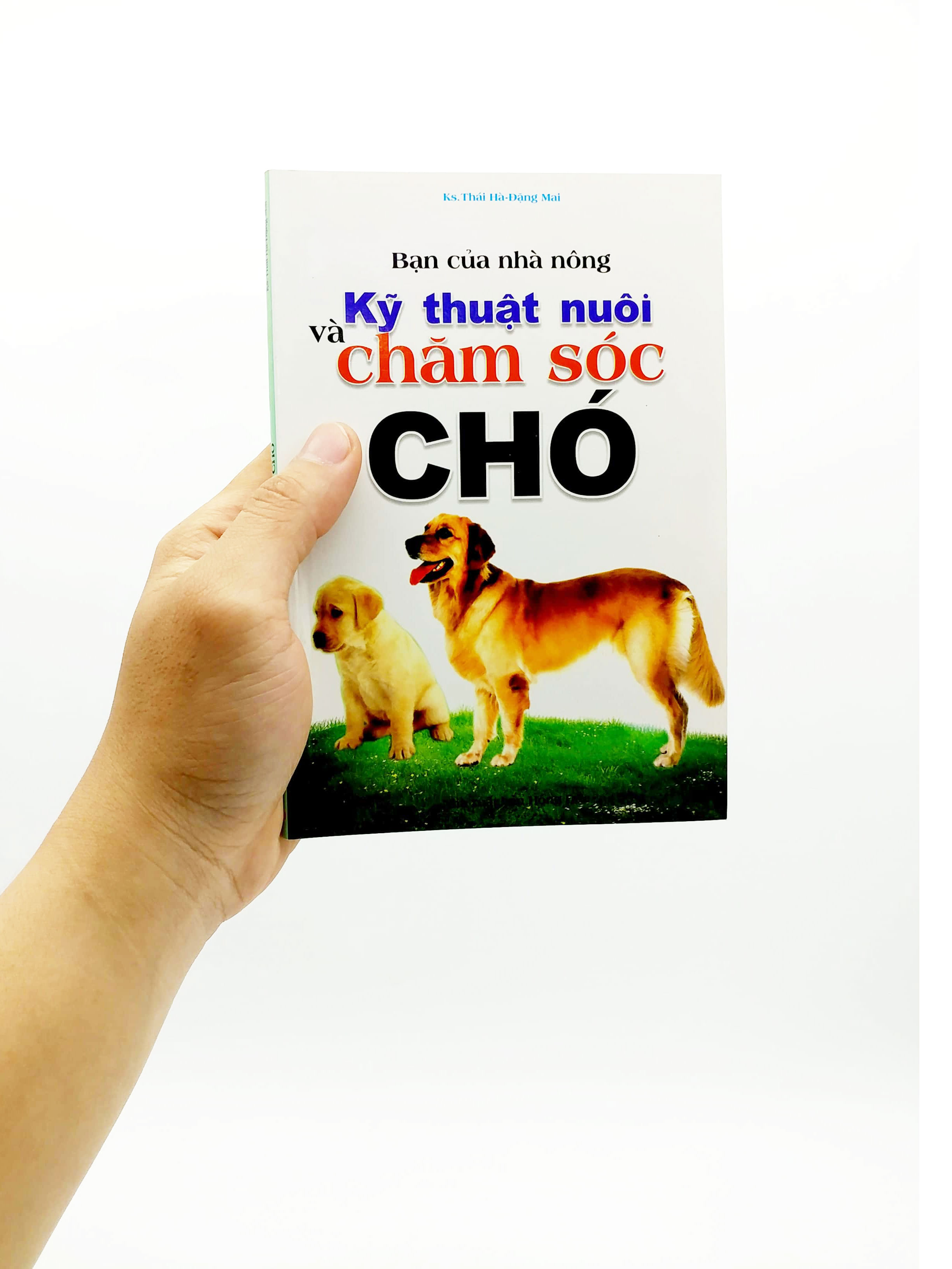 bạn của nhà nông - kỹ thuật nuôi và chăm sóc chó - Ảnh 7