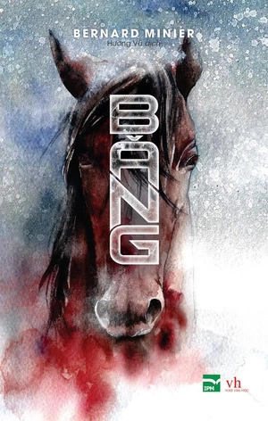 băng - Ảnh 2