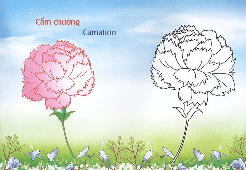 bé làm quen môi trường - các loài hoa - Ảnh 5