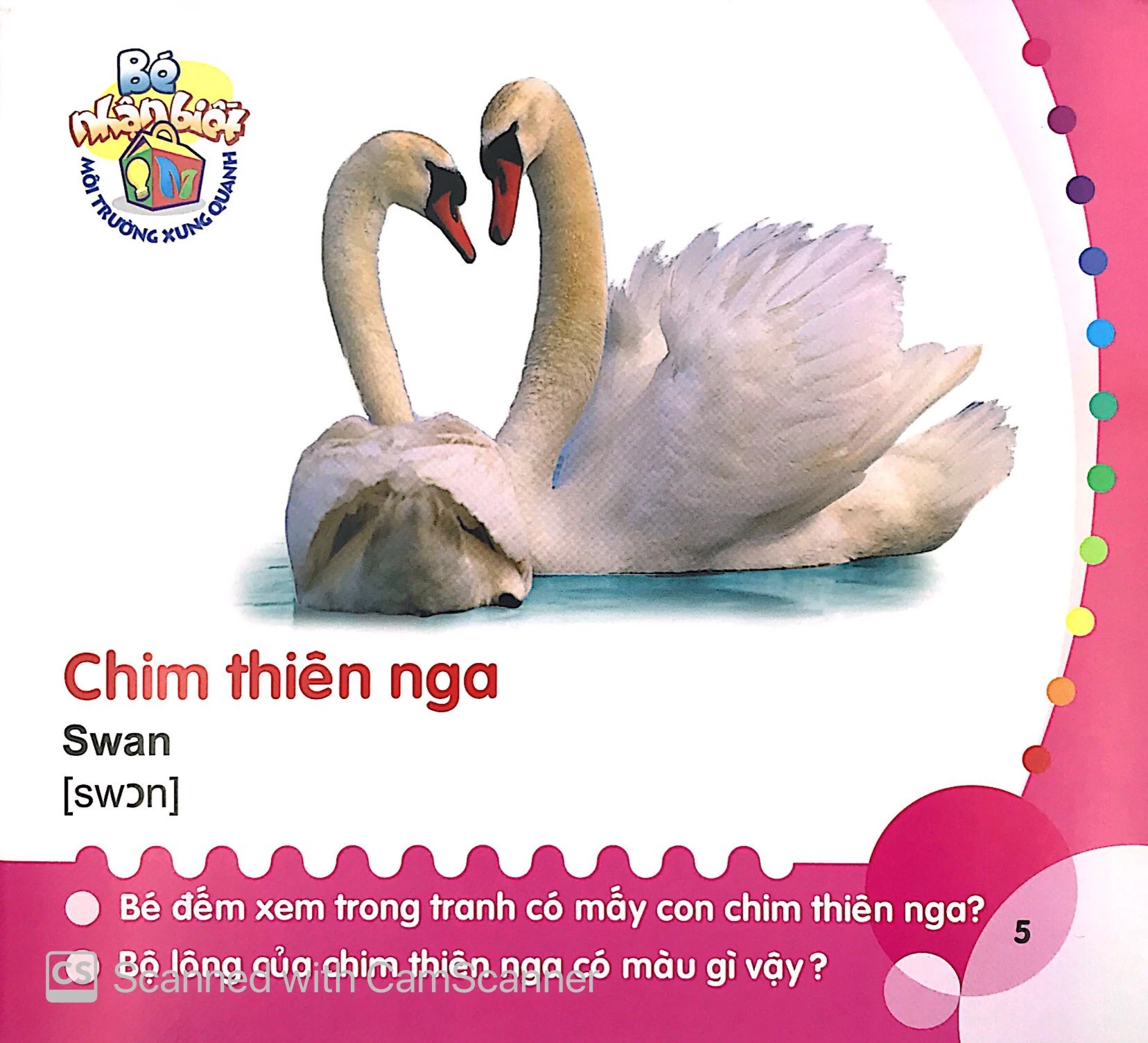 bé nhận biết môi trường xung quanh (0-3 tuổi) chim - Ảnh 6