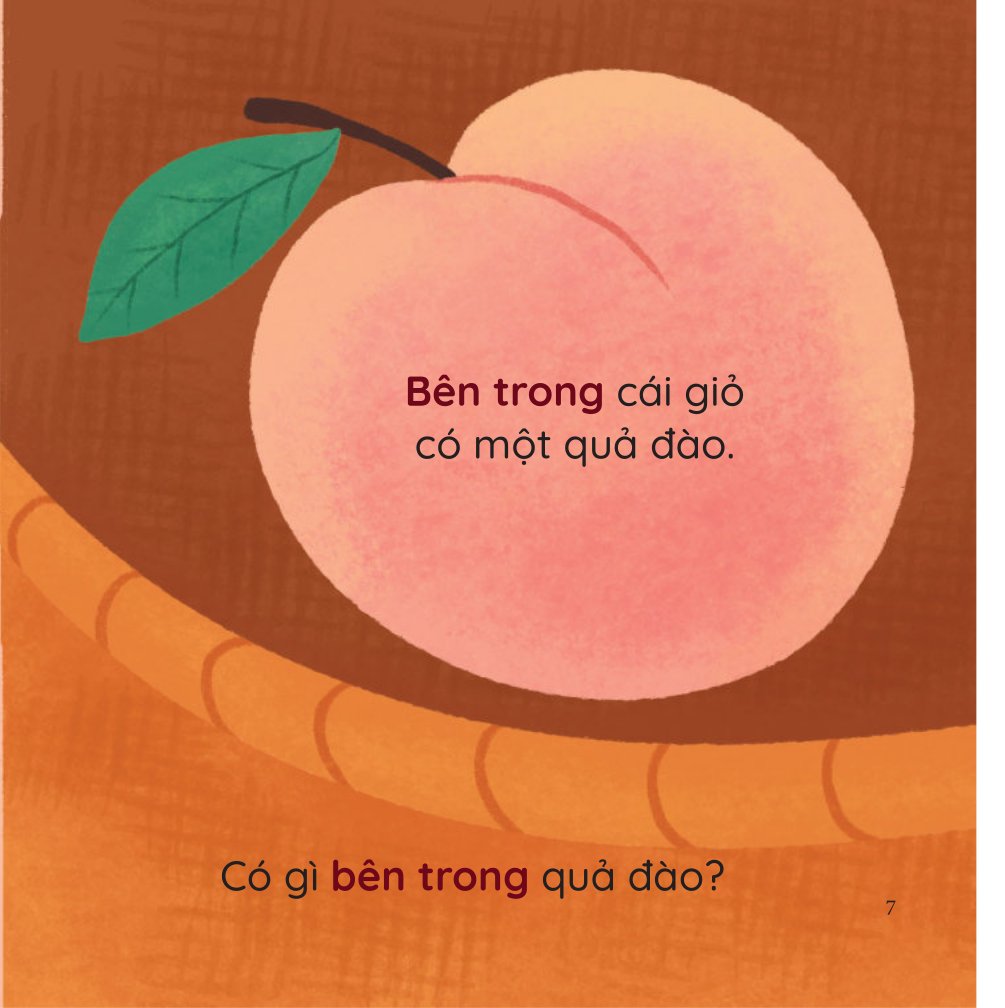 Bé Thông Minh - Trổ Tài So Sánh - Bên Trong, Bên Ngoài - Bìa Cứng - Ảnh 5
