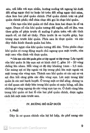 bệnh hô hấp - cây thuốc vị thuốc phòng và chữa bệnh - Ảnh 8