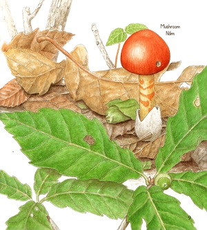 bí mật những chiếc lỗ (tái bản 2019) - Ảnh 8