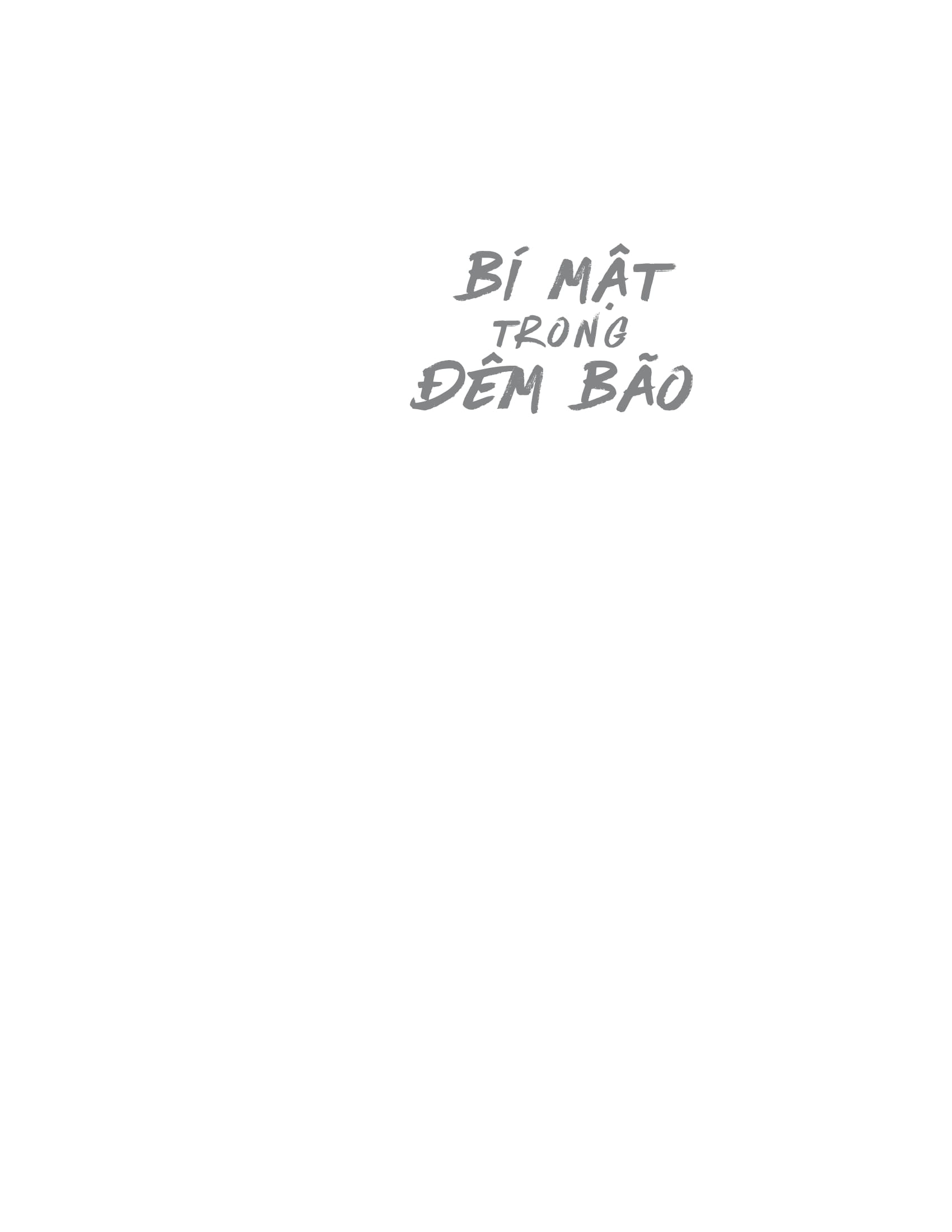 bí mật trong đêm bão - Ảnh 5