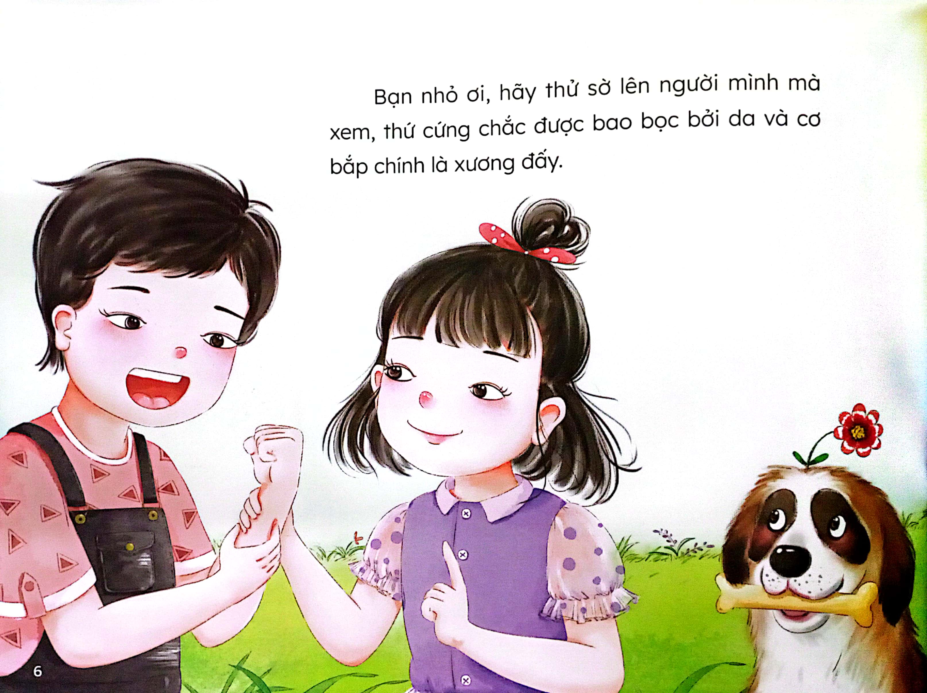 bí mật về cơ thể chúng mình - xương yêu vận động - Ảnh 5