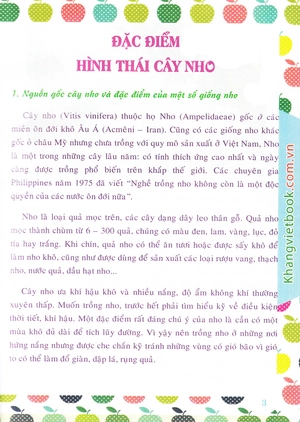 bí quyết thành công kĩ thuật trồng nho hiệu quả - Ảnh 6