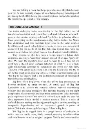 big bet leadership - Ảnh 9