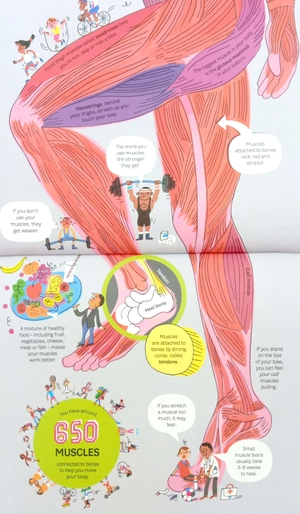 big book of the body - Ảnh 6