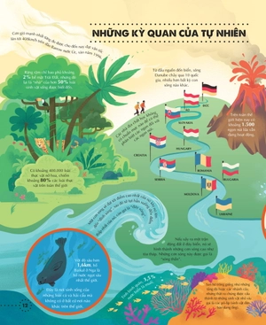 big picture book of general knowledge - cuốn sách tranh khổng lồ về khoa học thường thức - Ảnh 2