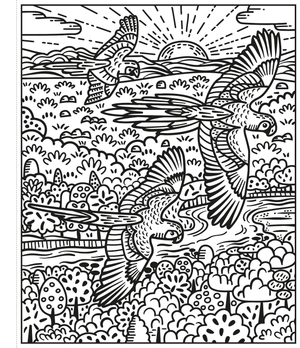 birds magic painting book - Ảnh 5