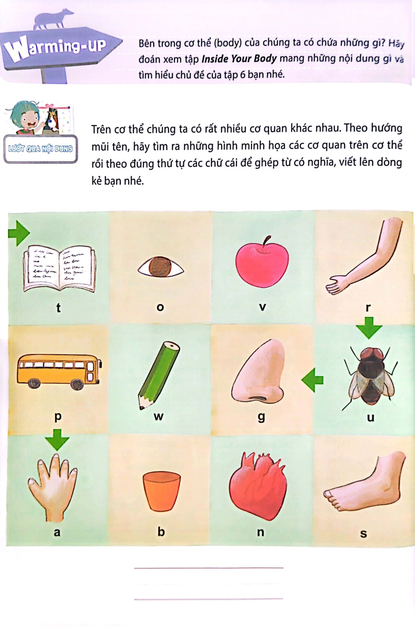 bộ all story - inside your body - bên trong cơ thể bạn - trình độ 2 (tập 6) - Ảnh 4