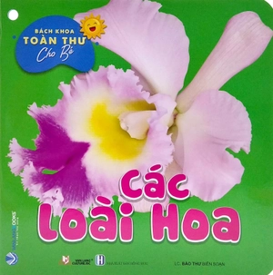 bộ bách khoa toàn thư cho bé - các loài hoa (bộ 5 cuốn) - Ảnh 6