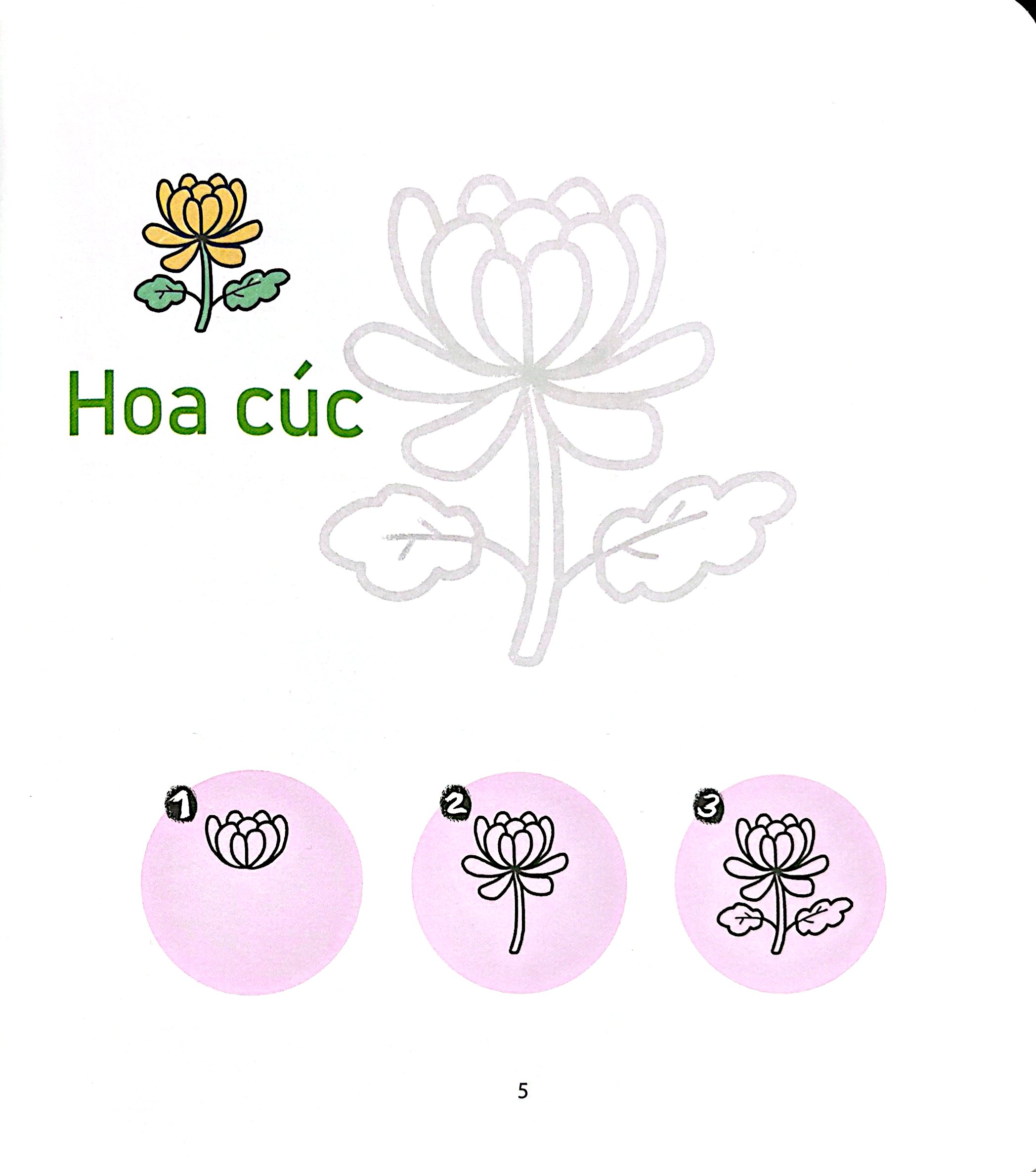 Bộ Bé Vẽ Cả Thế Giới - Thực Vật - Ảnh 5