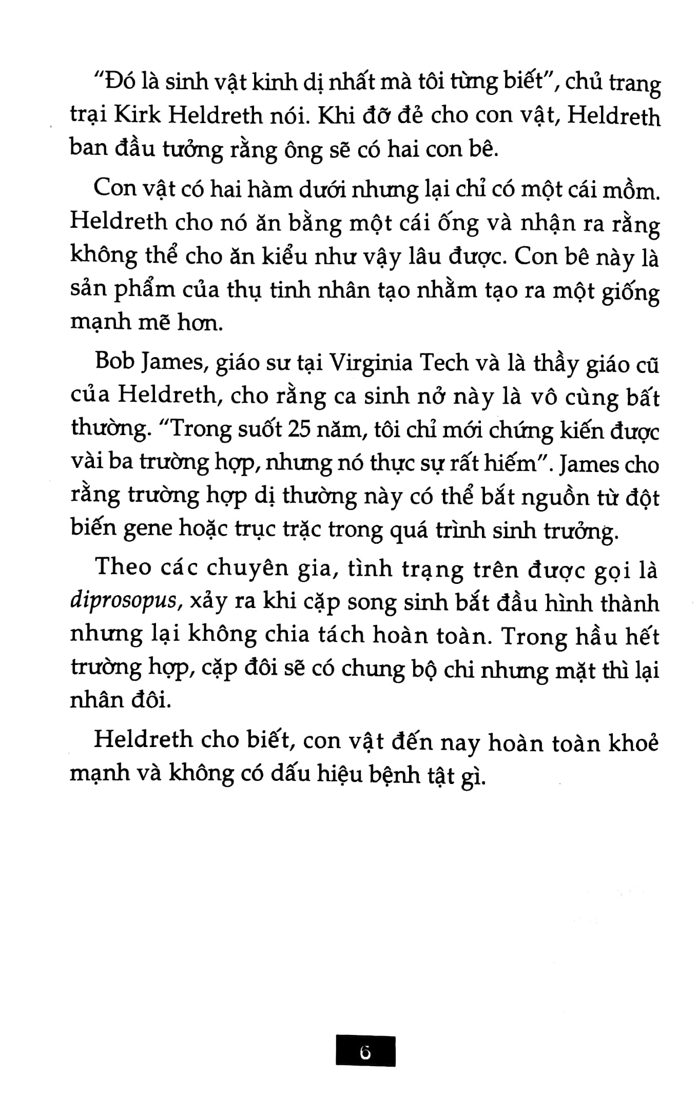 bộ bí ẩn mãi mãi là bí ẩn 03 (tái bản 2022) - Ảnh 5