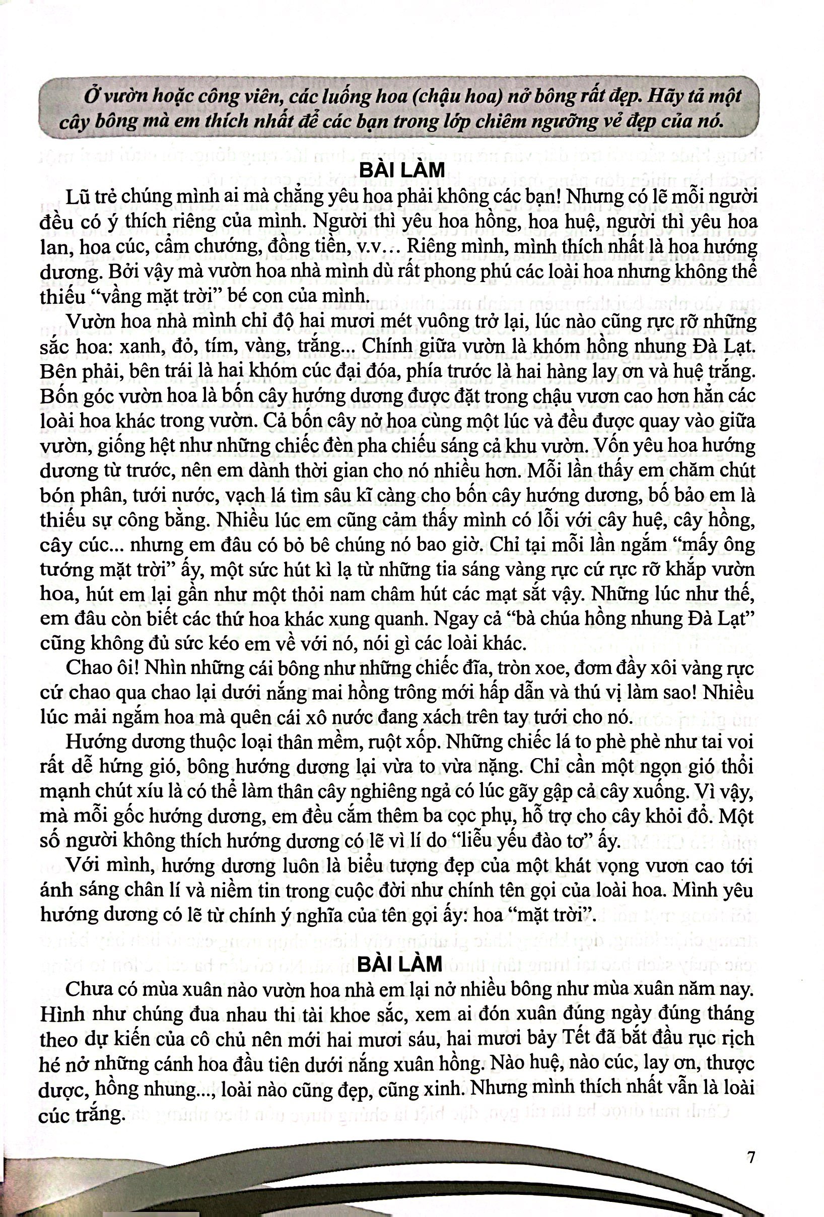 Bo
						
										
										Boi Duong Nang Khieu Van 5 - Ảnh 4