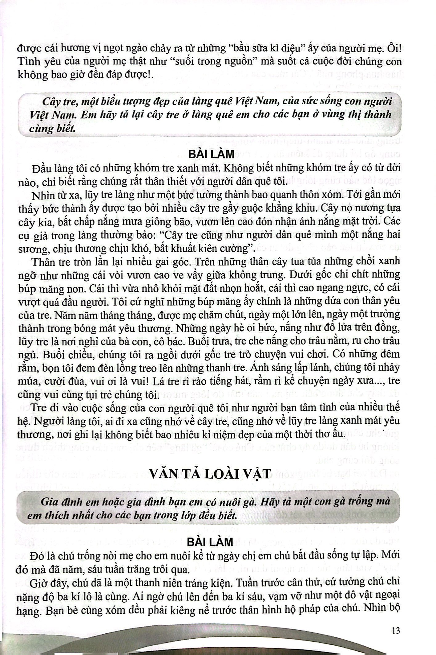 Bo
						
										
										Boi Duong Nang Khieu Van 5 - Ảnh 5