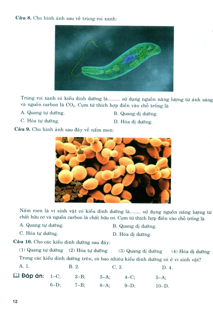 Bộ Bồi Dưỡng Năng Lực Tự Học Sinh Học 11 - Ảnh 12