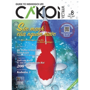 bộ cá koi - tập 8 - Ảnh 2