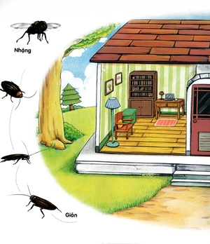 bộ chú mèo kẹo bi phiêu lưu trong xứ sở côn trùng (tập 5): trong nhà - Ảnh 3
